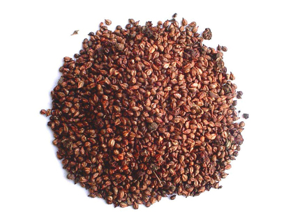Grape Seed Extract Powder