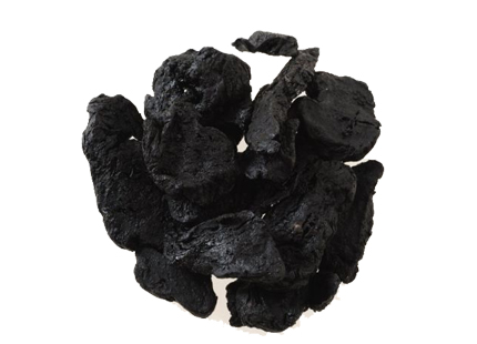 Cistanche Extract Powder