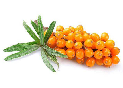 Seabuckthorn Juice Powder