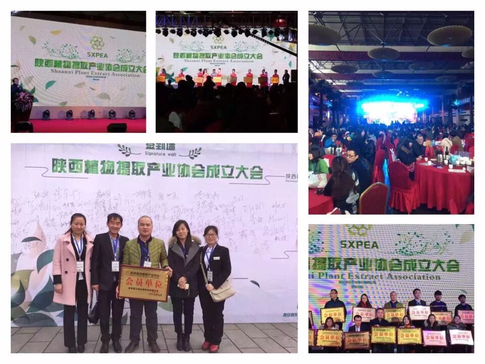 The establishment conference of shaanxi plant extraction industry association was held successfully