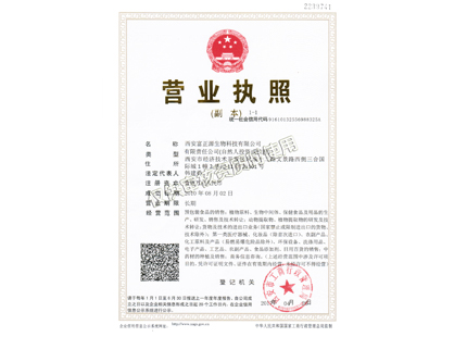 Business license