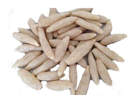 Ophiopogonis Extract Powder